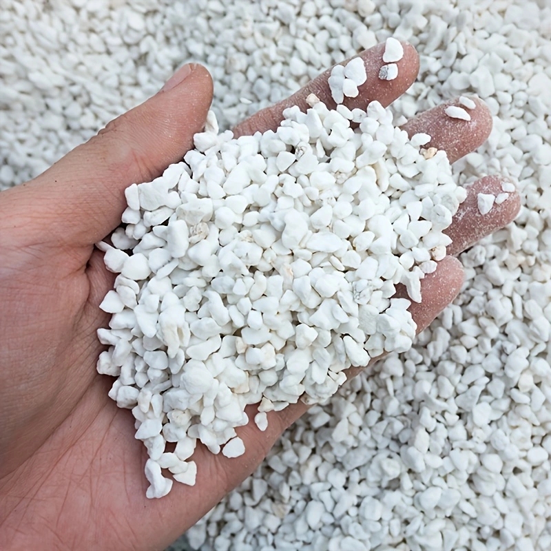 Horticulture Soil Perlite - 1 Confezione di Perlite Orticola da