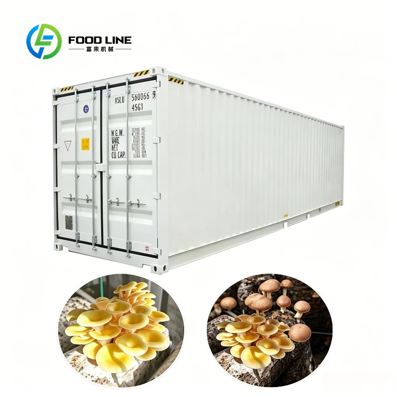 Urban Farming Project - Fattoria Idroponica in Container con Sistema