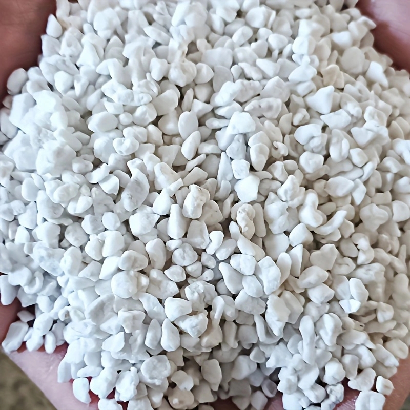 Confezione da 1 Pezzo di Perli - Horticulture Soil Perlite recensione e prezzo