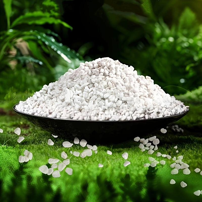 Confezione da 1 Pezzo di Perli - Horticulture Soil Perlite recensione e prezzo