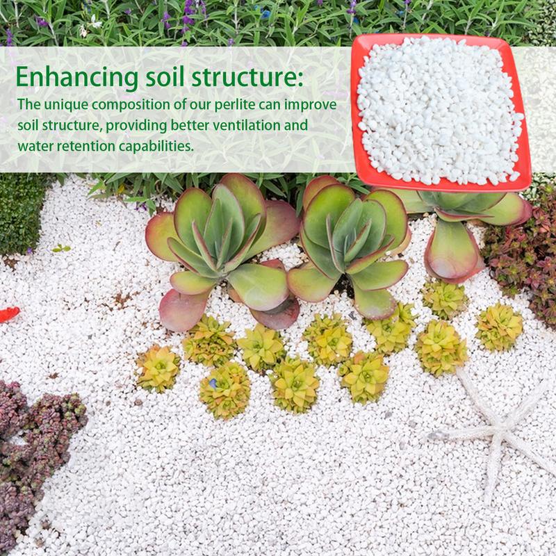 Perlite sfusa per giardinaggio - Horticulture Soil Perlite recensione e prezzo